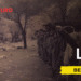 Lolan – Danasîn